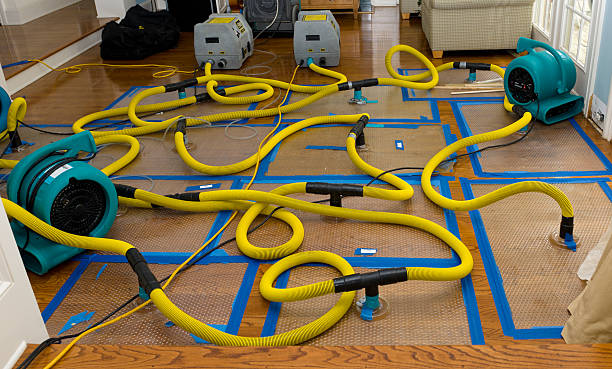 Professional Storm Water Damage Restoration technician working in Colton, CA